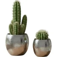 Meinposten Blumentopf 2 Blumentöpfe silber Pflanztopf Aluminium Blumentopf Pflanzentopf (2er Set, 2 St)