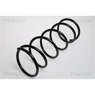 Triscan Feder vorne Ford Focus 1