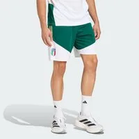 adidas Performance Shorts ITALIEN 26 TIRO TRAININGSSHORTS (1-tlg)