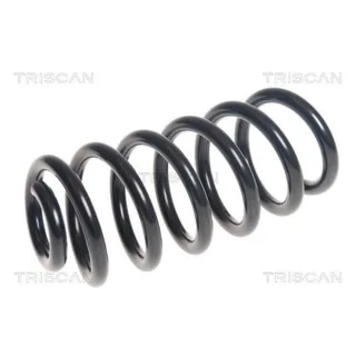 Triscan Feder hinten Renault Clio 4 875025135