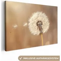OneMillionCanvasses® Leinwandbild Löwenzahn - Beige - Natur - Blume, Fotodruck (1 St), Leinwand Bilder Klein, Wand Dekoration Aesthetic 30x20 cm