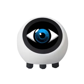 Xiaozhi AI DeepSeek Smart Voice Chat Robot ESP32-S3 Artificial Intelligence ESP32N16R8 1.28 inch LCD Screen Development