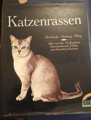 Katzenrassen. Merkmale Haltung Pflege