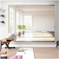 Elemango Ganzkörperspiegel Home Gym Spiegel, 143*60-2PCS Vollkörperspiegel für Yoga, Tanzraum, Yoga Spiegel, Gehärztes Glas, ohne Rahmen, Garage Fitness