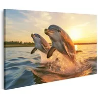islandburner Leinwandbild Delphine Springen Sonnenuntergang Ruhiges Meer