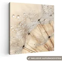 OneMillionCanvasses® Leinwandbild Löwenzahn - Abstrakt - Natur - Beige, Fotodruck (1 St), Wandbild, Deko Schlafzimmer Wohnzimmer Flur 20x20 cm