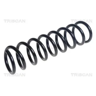 Triscan Feder hinten Ford Kuga 2