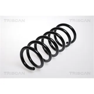 Triscan Feder vorne 87501002 Nissan Primastar Opel Vivaro Renault Trafic