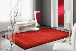 Rot