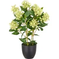 Kunstpflanze Hortensie paniculata, Creativ green, Höhe 60 cm, mit 8 Real-Touch-Blüten