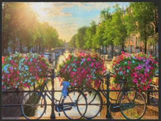 Fussmatte Holland 5013 | Größe: 60 cm x 45 cm