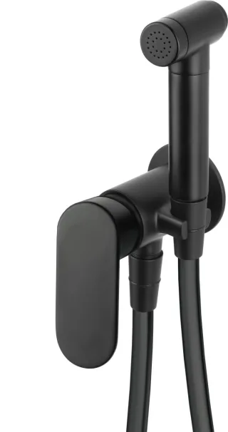 Neuesbad Serie 100 Bidetarmatur, Unterputz, mit Bidet-Handbrause, Oberfläche: schwarz matt NB1DEBGA_N34M1