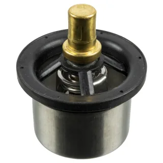 Febi Thermostat  173719