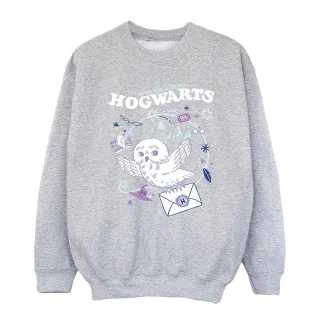 Harry Potter - "Letter From Hogwarts" Sweatshirt für Mädchen (Grau)