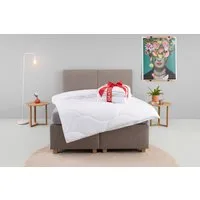 OTTO home Microfaserbettdecke Caelan, kaufe eine Decke - erhalte die Leichtbettdecke gratis dazu!, Füllung: 100% Polyester, Bezug: 100% Polyester, Bettdecke 135x200 cm und 155x220 cm, Sommer, Winter