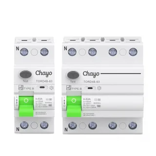 Chayo RCD RCCB Type B Earth Leakage Residual Current Circuit Breaker Evse 2P 4P AC 63a 30ma 100ma 300ma 10KA Din Rail 23