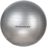 ENDURANCE Gymnastikball Gym Ball 55 CM, mit 55 cm Durchmesser