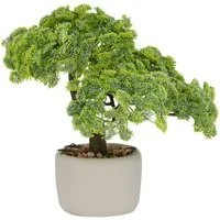 Kunstbonsai Bonsai Sedum multiceps, Creativ green, Höhe 24 cm, mit modernem Pflanzgefäß