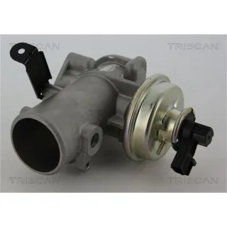 Triscan AGR-Ventil Ford Transit 2,4 Di
