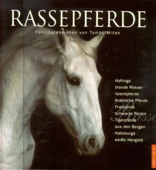 Rassepferde