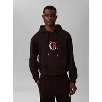 Calvin Klein Jeans Kapuzensweatshirt Regular fit mit Kapuze