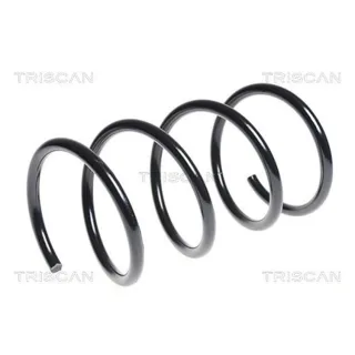 Triscan Feder vorne Kia Carens