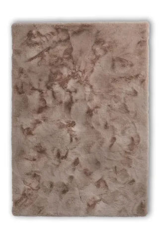 Braun