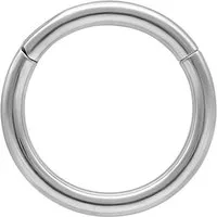 Wildcat Nasenpiercing Hinged Ring für Ohr, Nase, Lippe, Bauchnabel, 1 Stück, Titan Grad 23 - wasserfest, hautverträglich, Silber