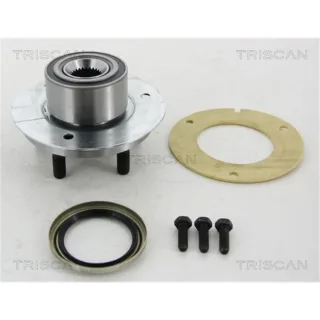 Triscan Radnabe Hinten BMW 5er E39