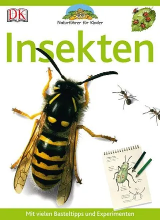 Naturführer für Kinder. Insekten