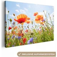 OneMillionCanvasses® Leinwandbild Blumen - Mohn - Frühling - Natur - Rot - Blau, Fotodruck (1 St), Leinwand Bilder Klein, Wand Dekoration Aesthetic 30x20 cm