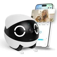 Enabot Smart Home Kamera ROLA Mini: Haustier-Kamera mit langlebiger Batterie & interaktiv (Innenbereich, 1-tlg)