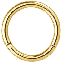 Wildcat Nasenpiercing Hinged Segmentring für Ohr, Nase, Lippe, Bauchnabel, 1 Stück, Chirurgenstahl 316L - wasserfest, hautverträglich, Gold