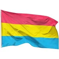 PHENO FLAGS Flagge Pansexual Pride Flagge LGBT PAN 90 x 150 cm Pansexuelle Fahne (Hissflagge für Fahnenmast), Inkl. 2 Messing Ösen