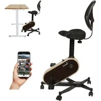 Skandika Heimtrainer Office Bike, Deskbike für Home Office, Kinomap App kompatibel (Bürotisch Fahrrad für Zuhause, Fahrradschreibtisch, Magnetbremse), Transportrollen, Fahrradstuhl bis 150 kg, 8 Widerstandsstufen