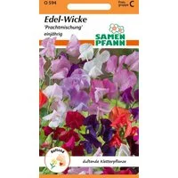 SAMEN PFANN Blumensamen Edel-Wicke, Prachtmischung - Saatgut Wicken-Samen Samen, Lathyrus odoratus
