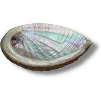 LAVISA Räucherkegel Weißer Salbei Premium, Abalone Muschel, Palo Santo, Salbei Räucher Smudge Abalone White Sage