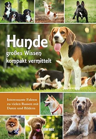 Hunde [Gebundene Ausgabe] [2012] -