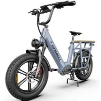 Vankel E-Bike Cityrad Cargo Damen u. Herren 20"x4" 960Wh 48V, max.100km Hydraulikbremsen, Kettenschaltung, Heckmotor, 960 Wh, (Beleuchtungsset mit Batterieladegerät, Batterieschlüssel, Werkzeug), Lasten-Elektrofahrrad mit Fat-Reifen, großem Transport