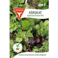 FRANKONIA Gemüsesamen Asiasalat, Japanese Greens Mix - Saatgut Asia-Salat-Samen Samen, Brassica juncea