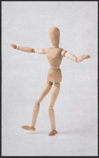 Fussmatte 7350 | Größe: 60 cm x 90 cm