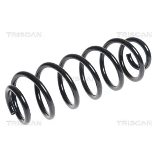 Triscan Feder hinten Seat Leon 1,6