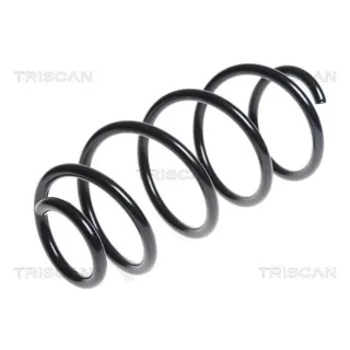 Triscan Feder vorne Audi A1 Seat Ibiza 875029325