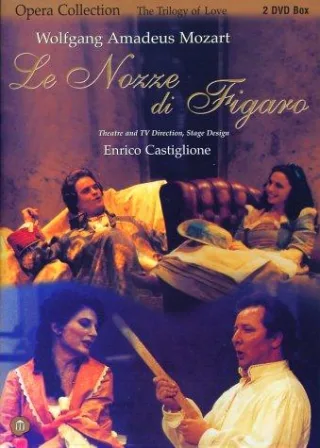 Mozart Wolfgang Amadeus - Le nozze di Figaro (2 DVDs)