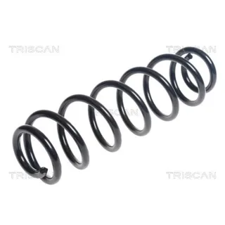 Triscan Feder hinten Skoda Octavia VW Passat