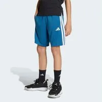 adidas Sportswear Shorts TRAIN ESSENTIALS 3-STREIFEN KIDS