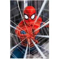 Reinders! Poster Marvel Spiderman - gotcha