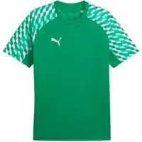 PUMA T-Shirt teamLIGA26 Jersey (100% rec. Polyester, atmungsaktiv) grün Herren