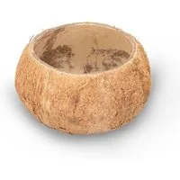 NaDeco Bastelnaturmaterial Kokos Becher Natur, Durchmesser 10-13cm, Höhe von 8-10 cm i