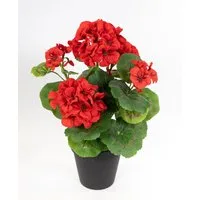 Kunstblume Geranie im Topf 34cm LM Kunstpflanzen künstliche Blumen Pflanzen Pelargonium, Seidenblumen Roß, Höhe 34 cm, Rot